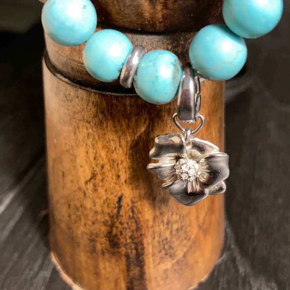 Fossil charm